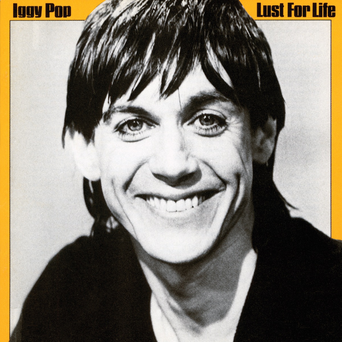 Обложка Iggy Pop — Lust For Life