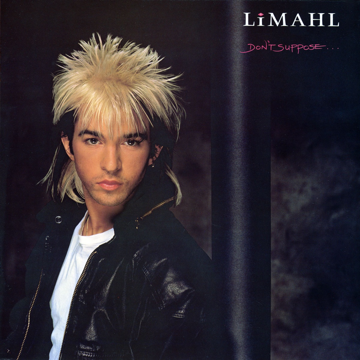 Обложка Limahl — Don't Suppose