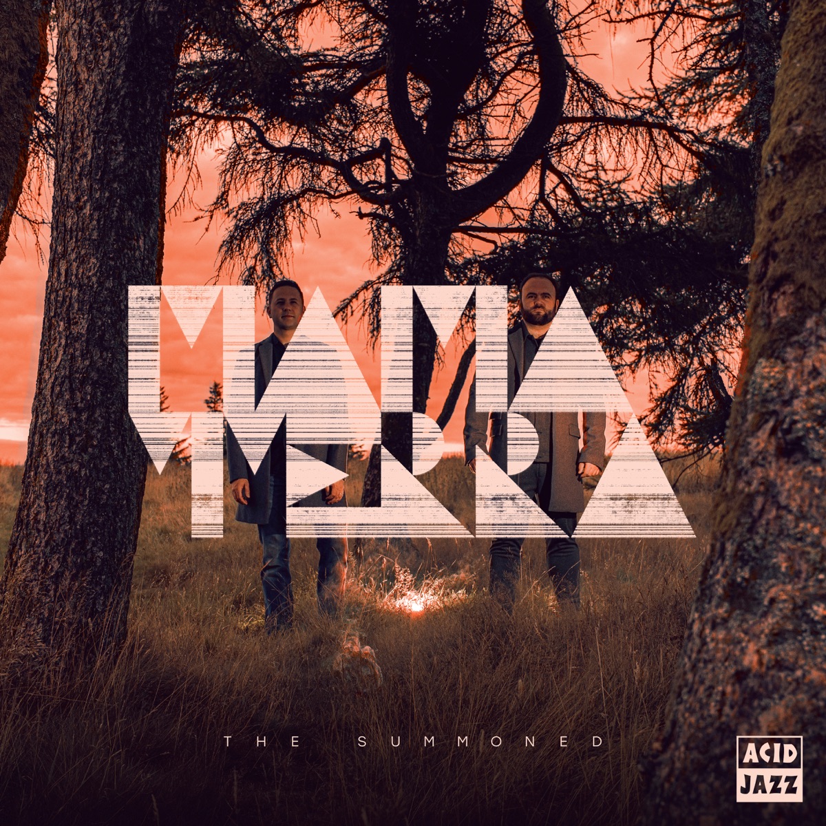 Обложка Mama Terra — The Summoned
