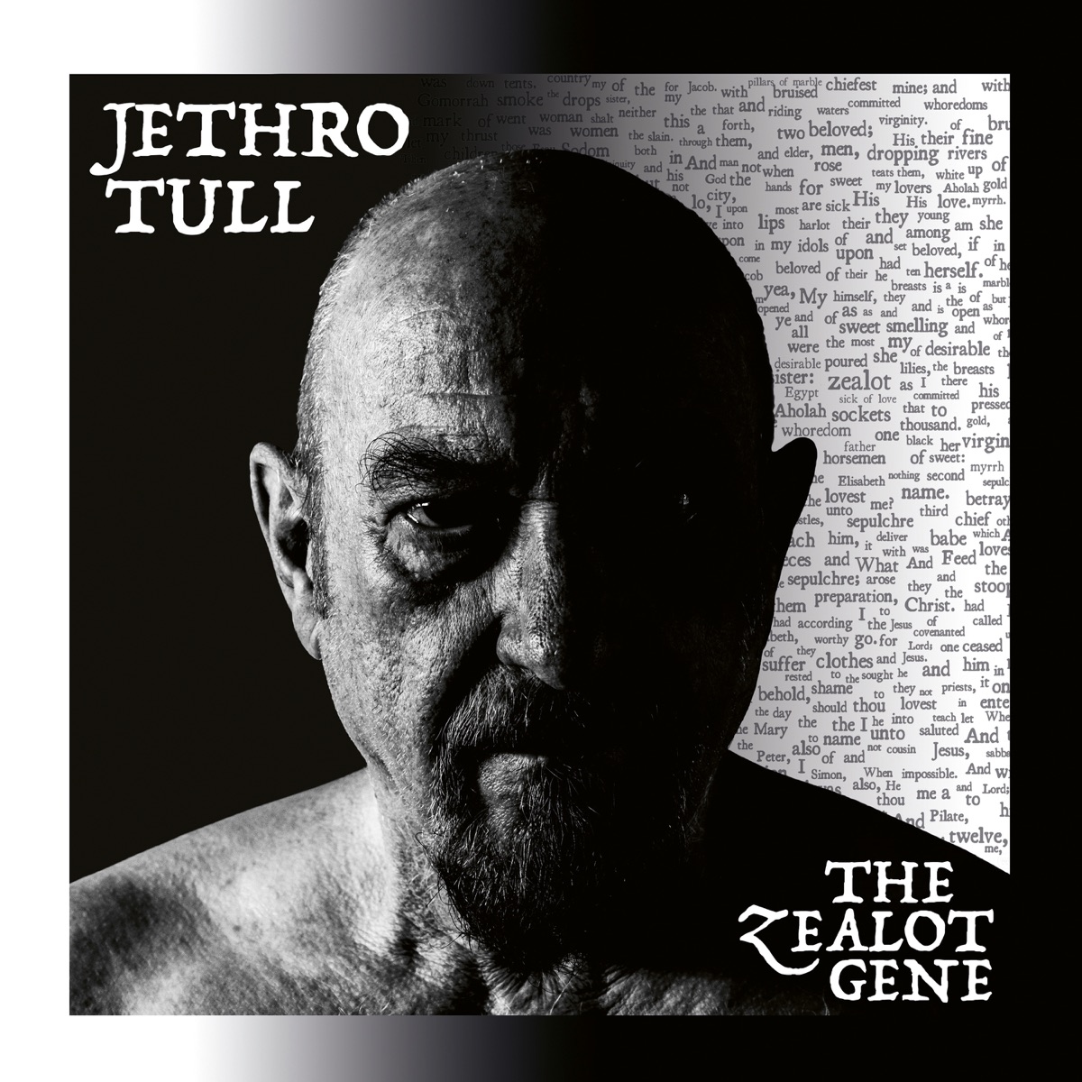 Обложка Jethro Tull — The Zealot Gene