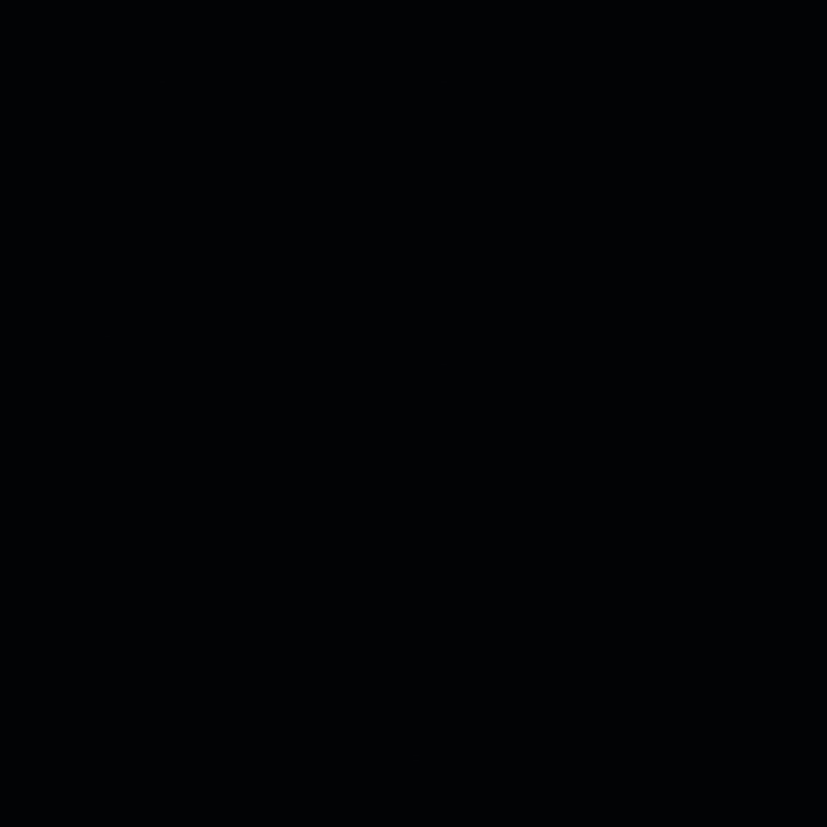 Обложка Kanye West — Donda