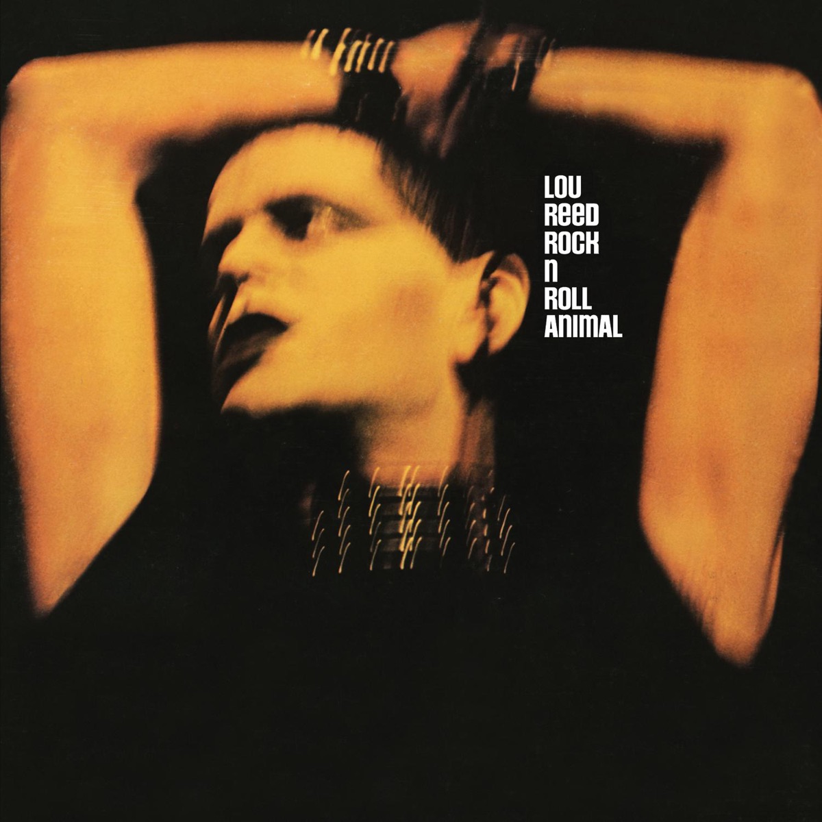 Обложка Lou Reed — Rock N Roll Animal