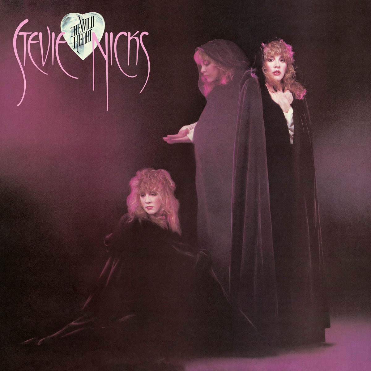 Обложка Stevie Nicks — The Wild Heart