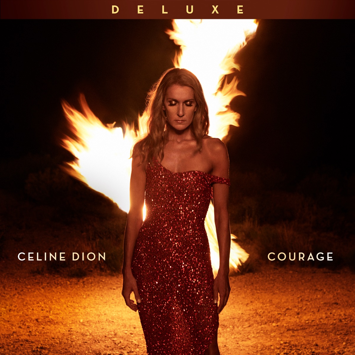 Обложка Céline Dion — Courage