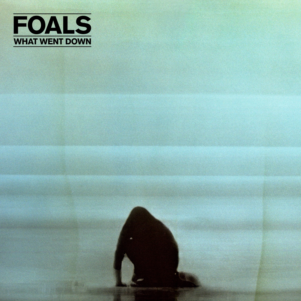 Обложка Foals — What Went Down