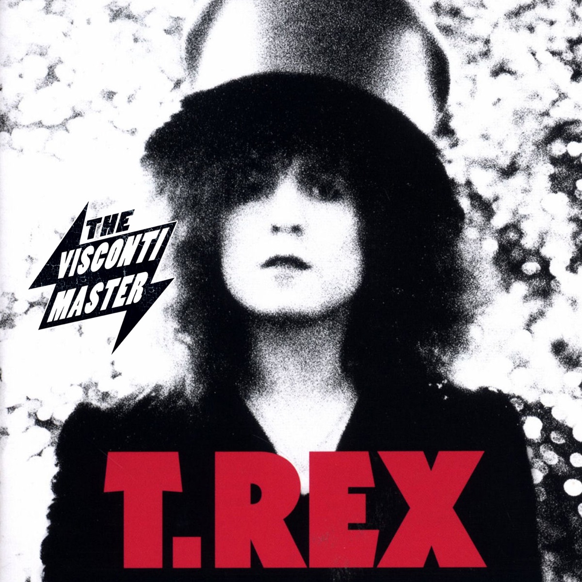 Обложка T. Rex — The Slider