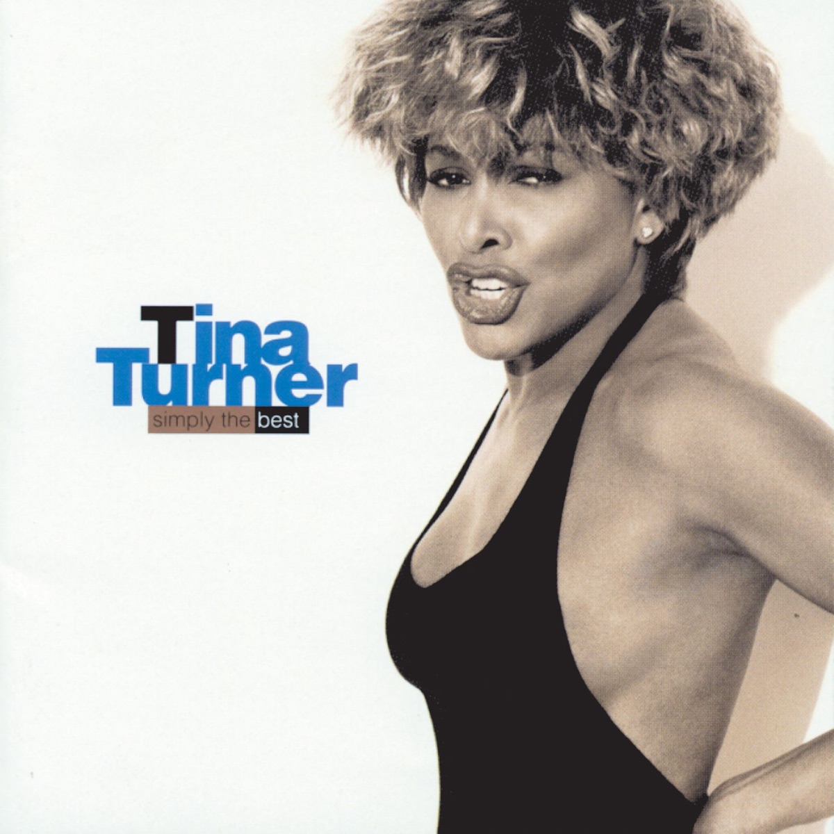 Обложка Tina Turner — Simply the best
