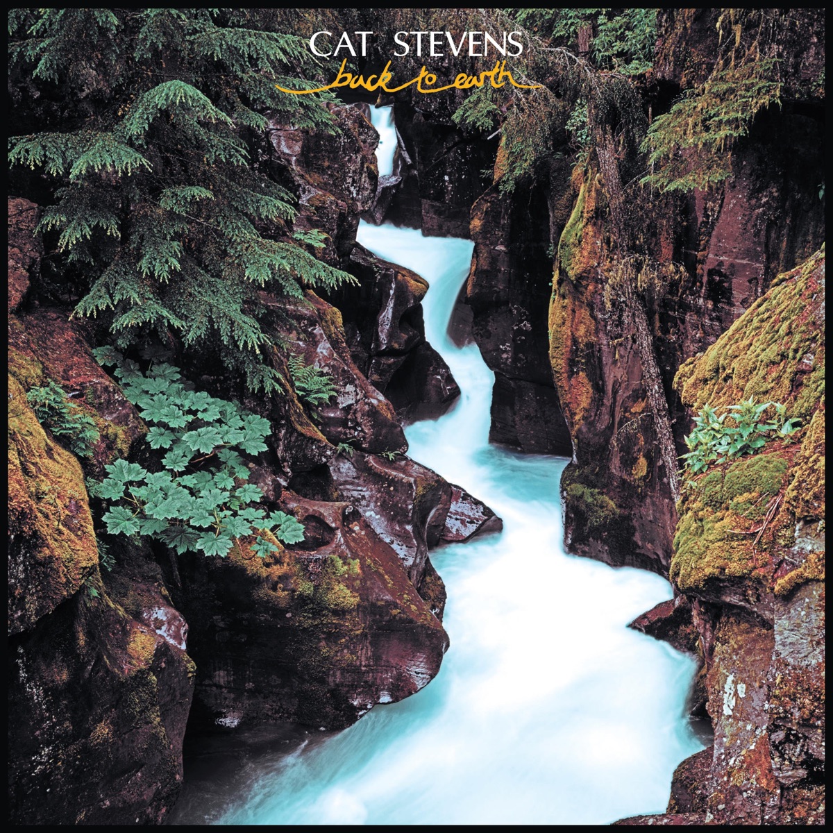 Обложка Cat Stevens — Back To Earth