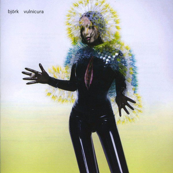 Обложка Björk — Vulnicura