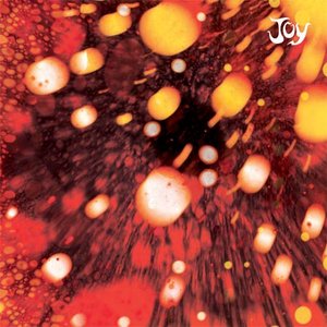 Обложка JOY — Joy