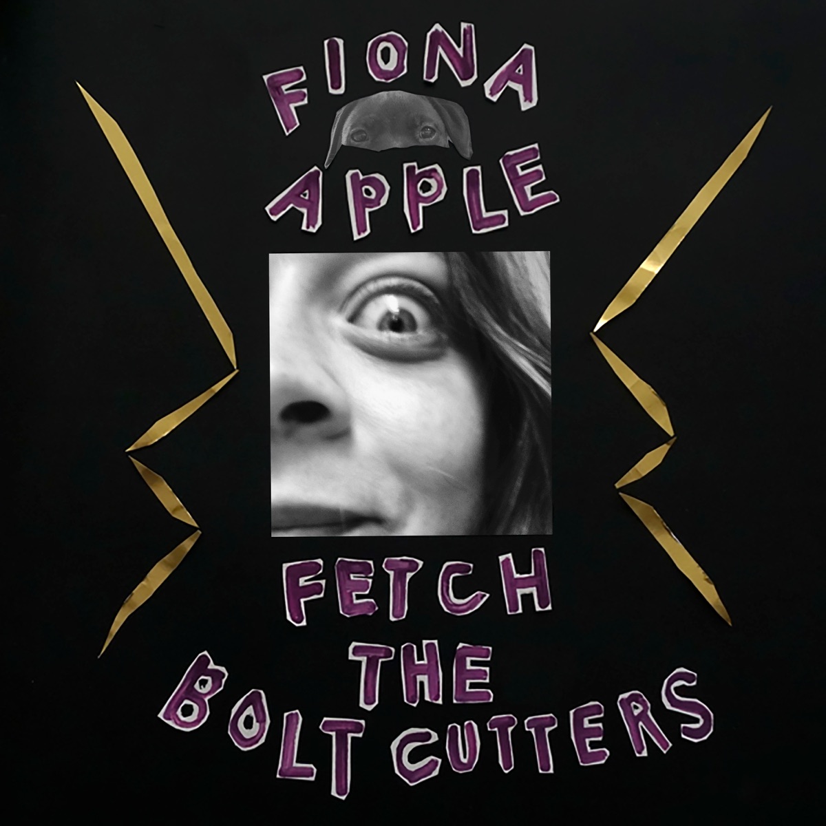 Обложка Fiona Apple — Fetch The Bolt Cutters