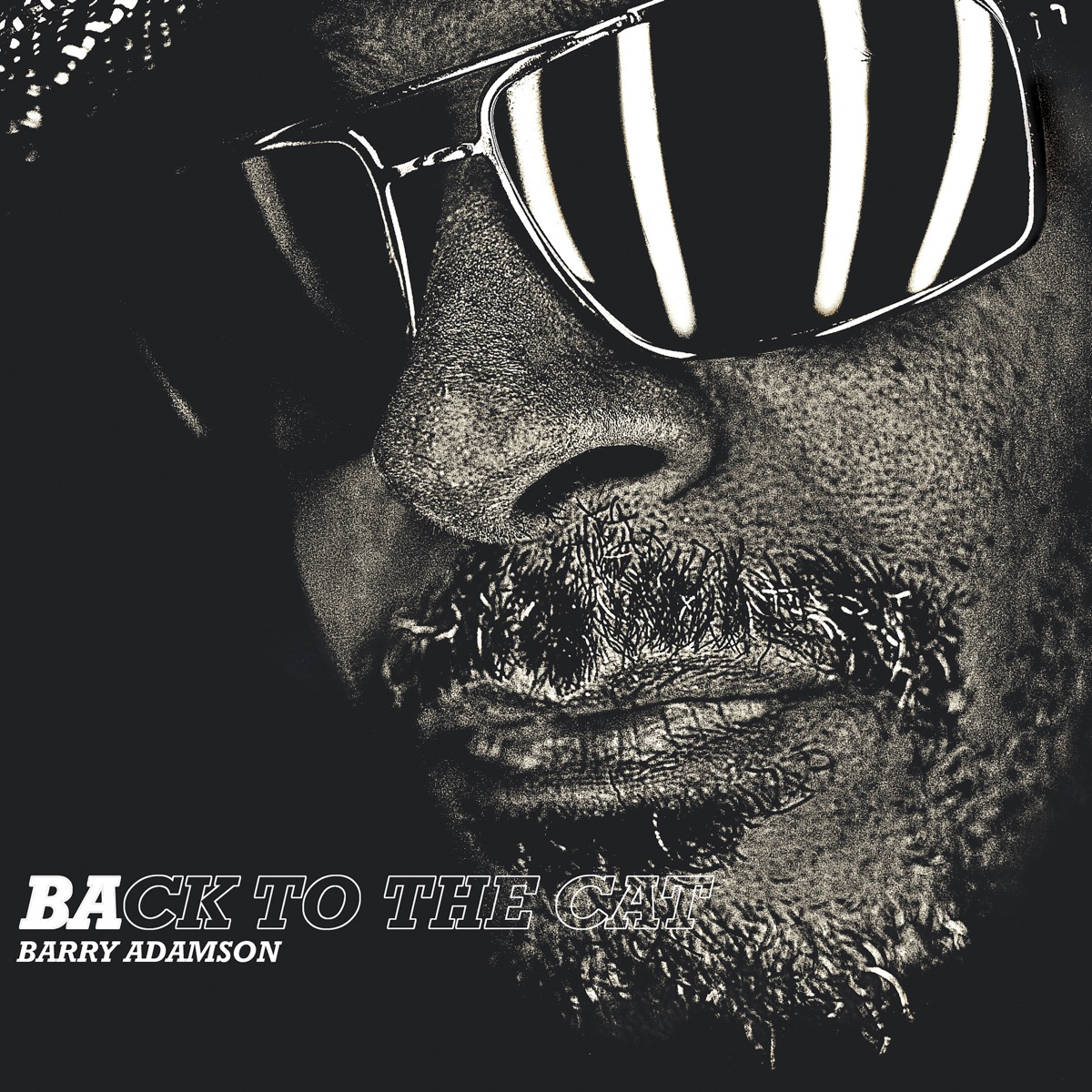 Обложка Barry Adamson — Back To The Cat