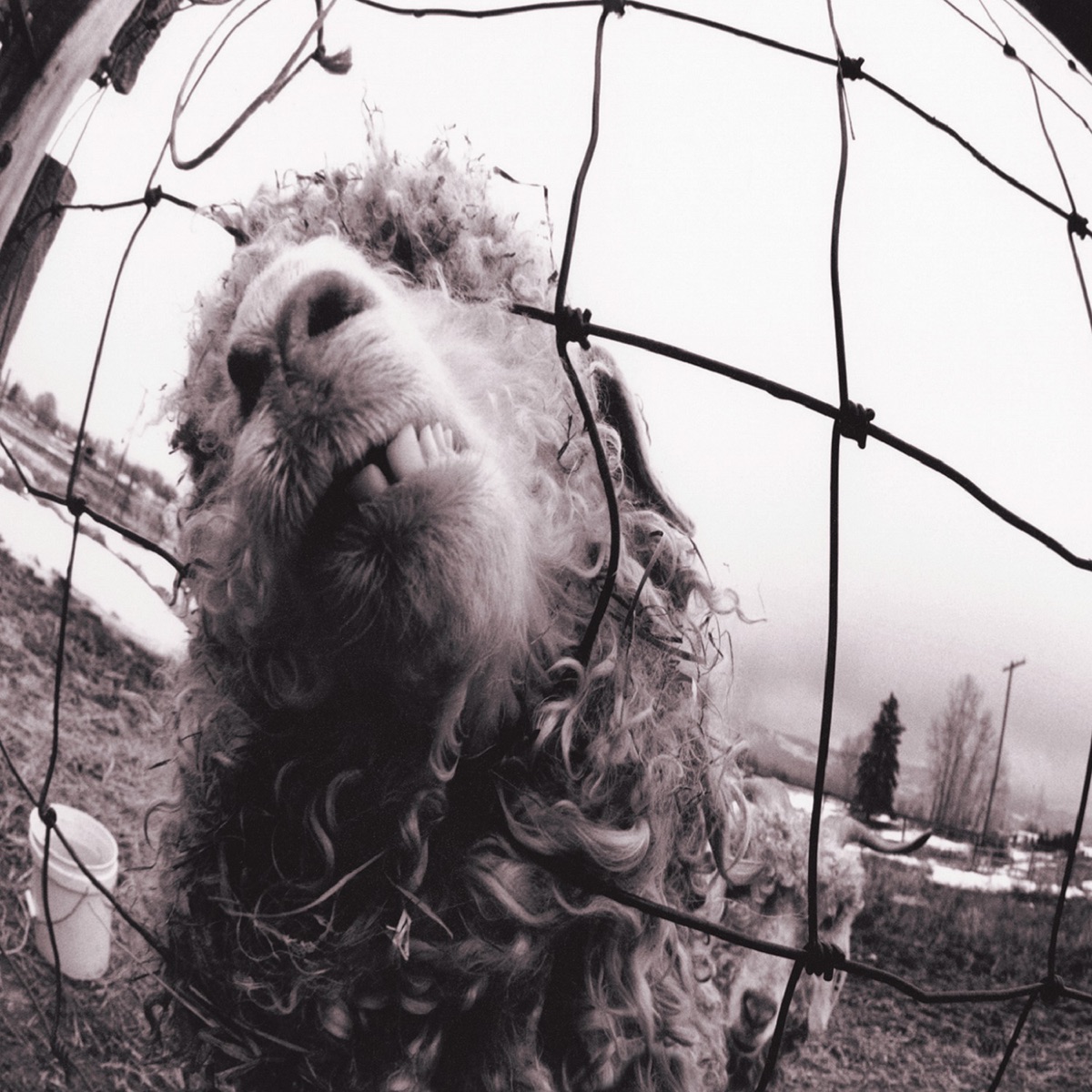 Обложка Pearl Jam — Vs.