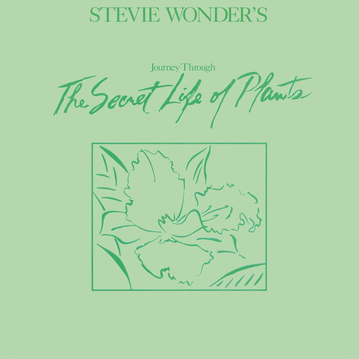 Обложка Stevie Wonder — Journey Through The Secret Life Of Plants