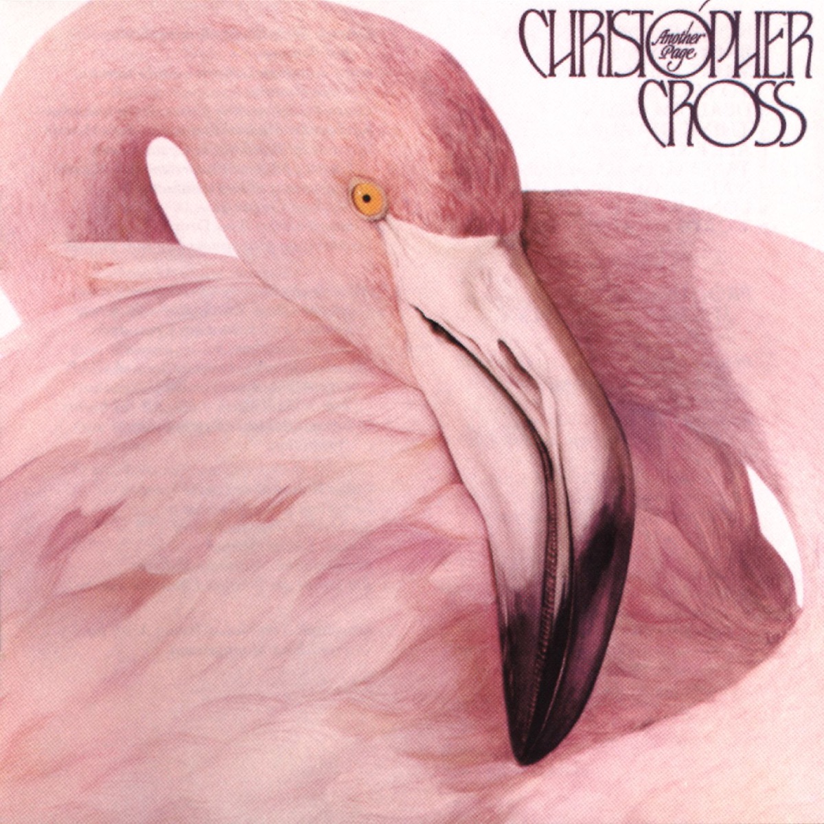 Обложка Christopher Cross — Another Page