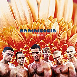 Обложка Rammstein — Herzeleid