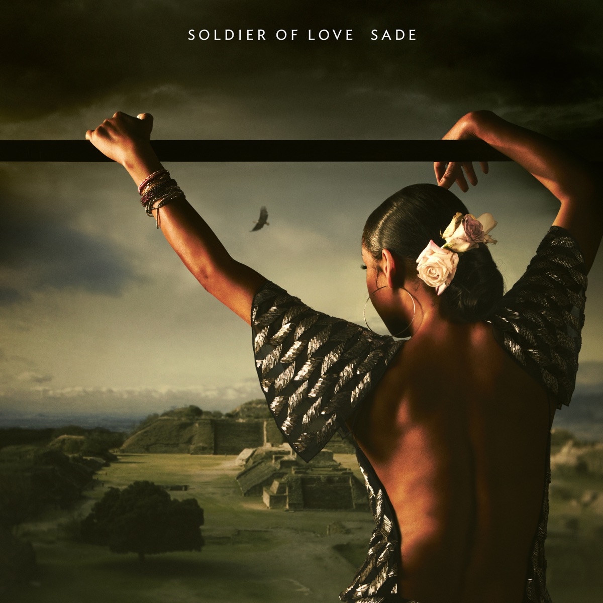 Обложка Sade — Soldier Of Love