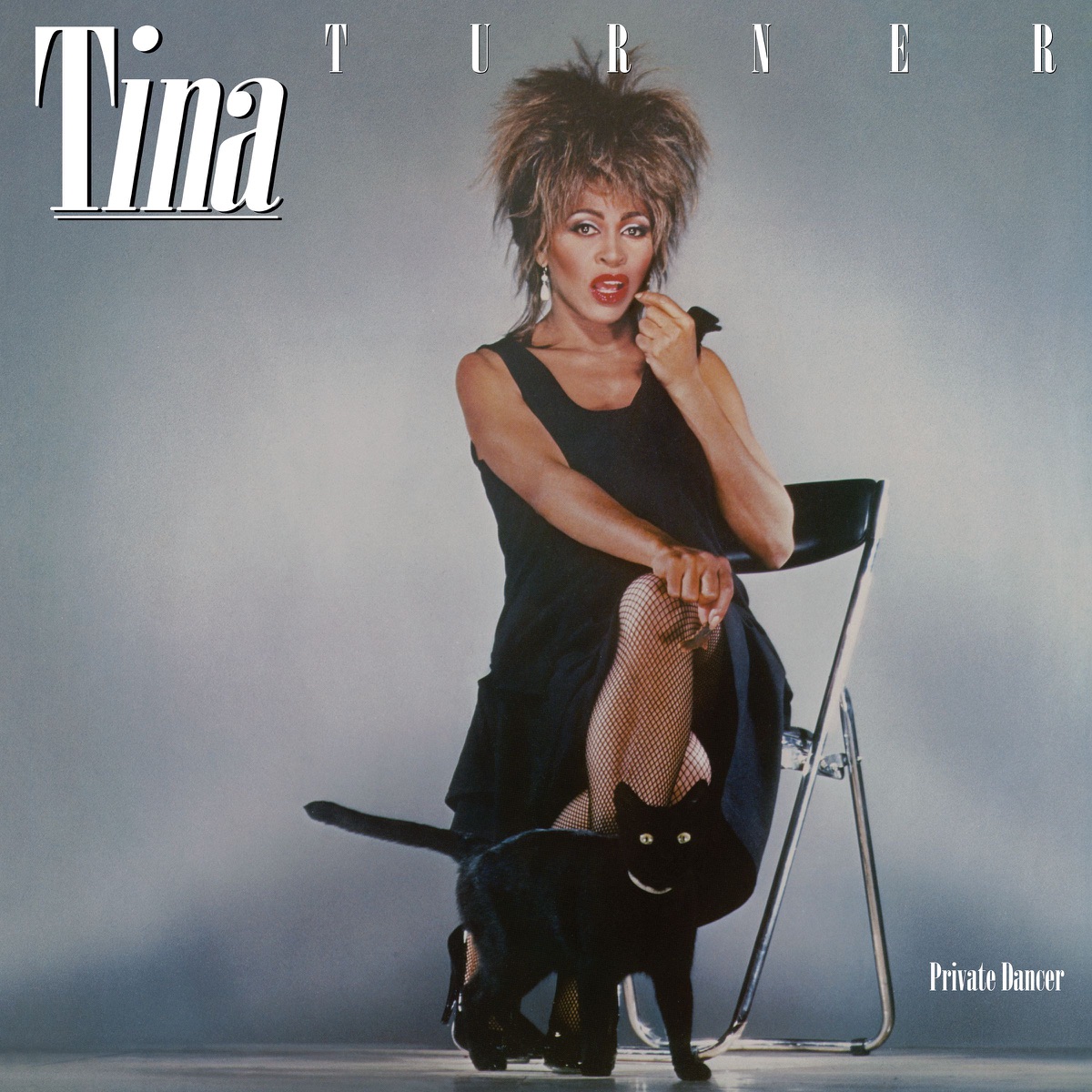 Обложка Tina Turner — Private Dancer (40th Anniversary)