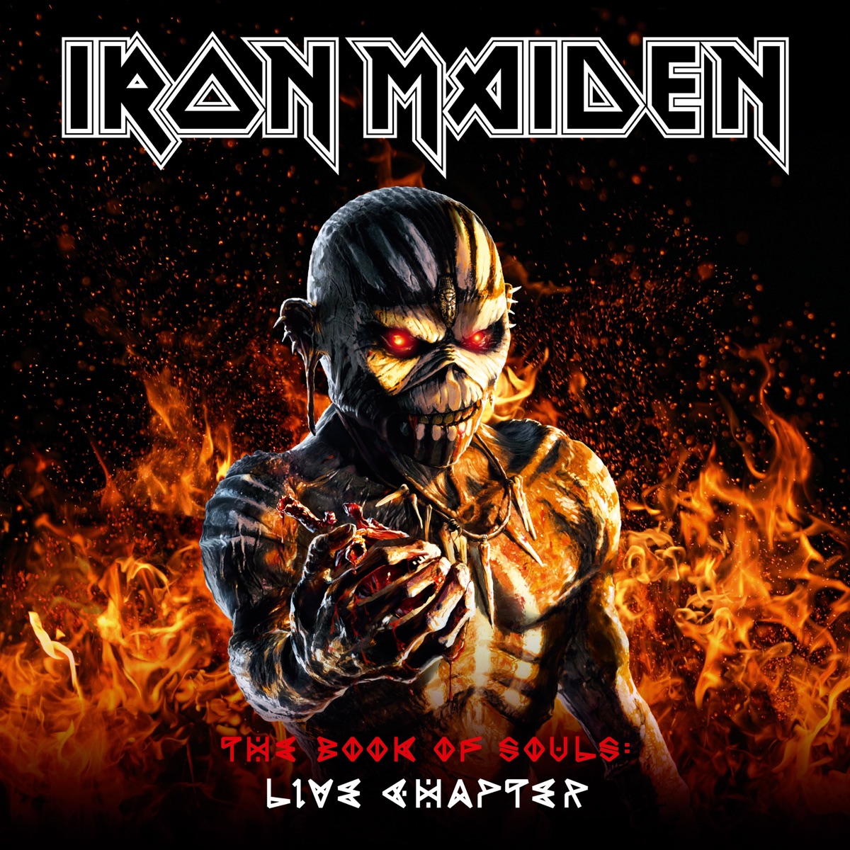 Обложка Iron Maiden — THE BOOK OF SOULS — LIVE CHAPTER