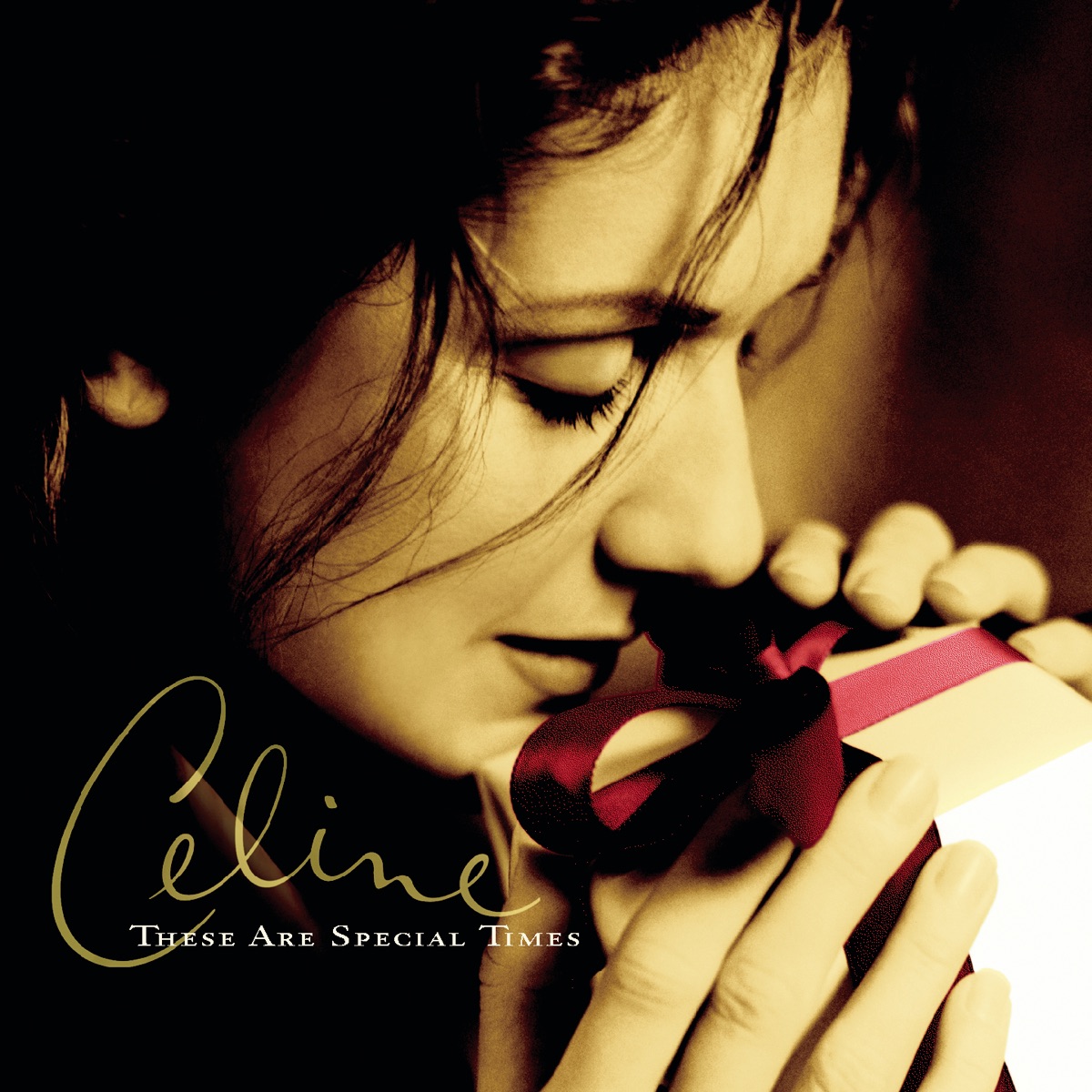 Обложка Céline Dion — These Are Special Times