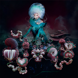 Обложка Björk — Fossora