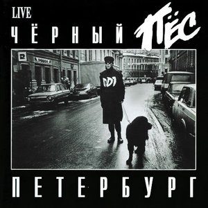 Обложка ДДТ — Черный Пес Петербург