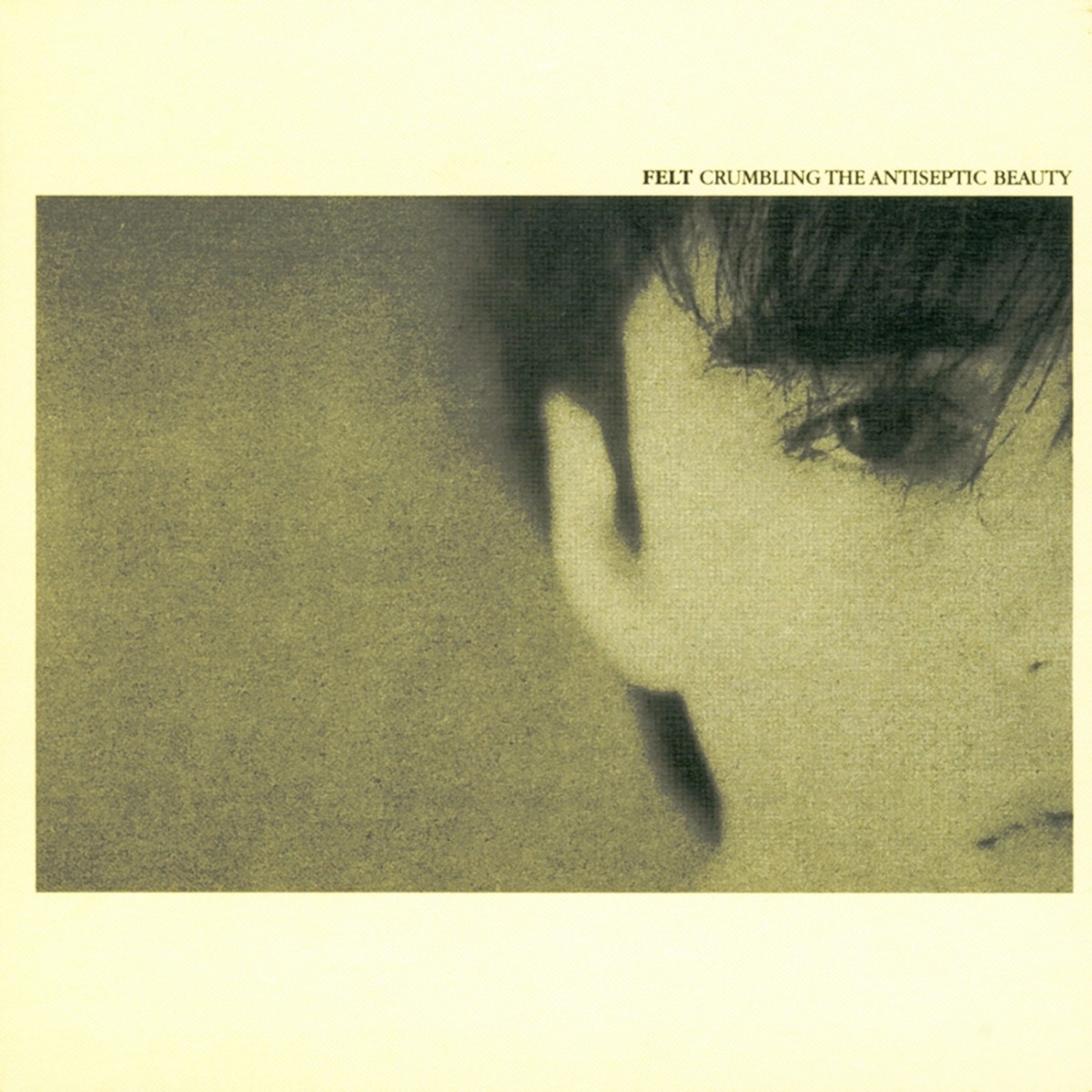Обложка Felt — Crumbling The Antiseptic Beauty