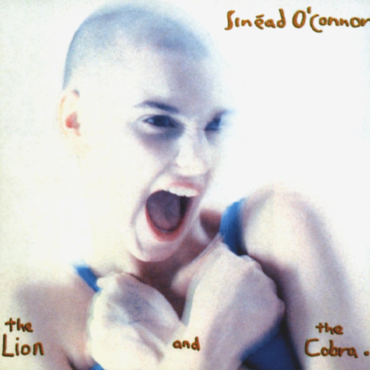 Обложка Sinéad O'Connor — The Lion And The Cobra