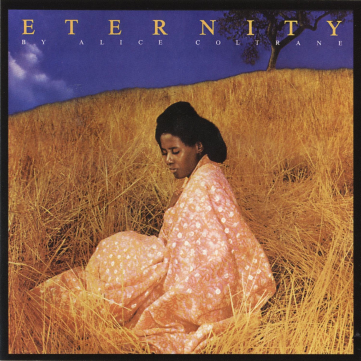 Обложка Alice Coltrane — Eternity