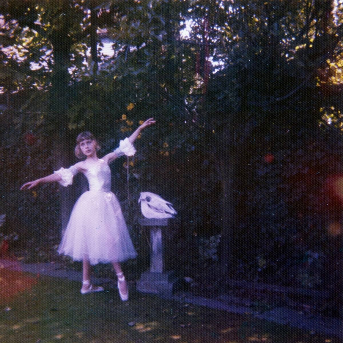 Обложка Wolf Alice — Visions Of A Life