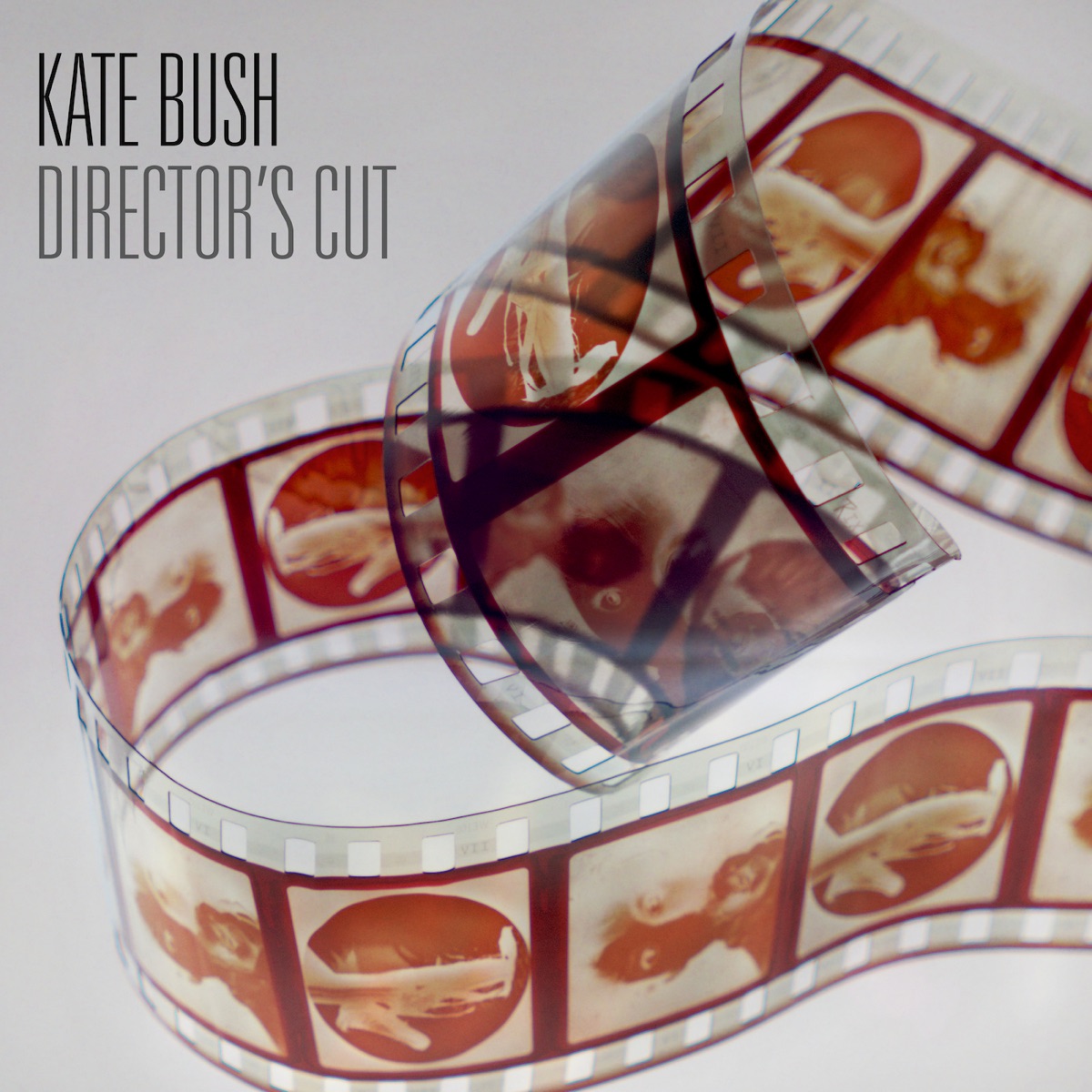 Обложка Kate Bush — Director's Cut