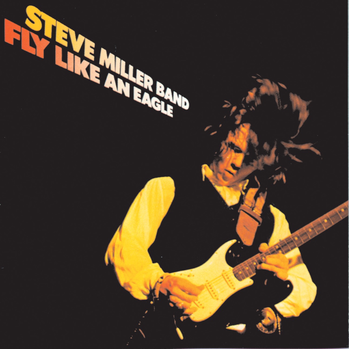 Обложка Steve Miller Band — Fly Like An Eagle