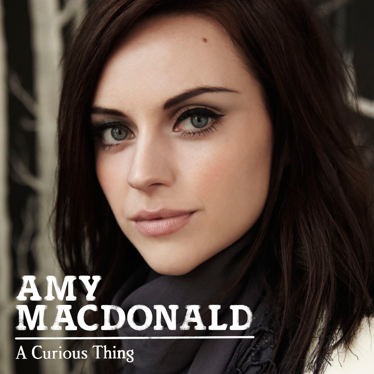 Обложка Amy Macdonald — A Curious Thing