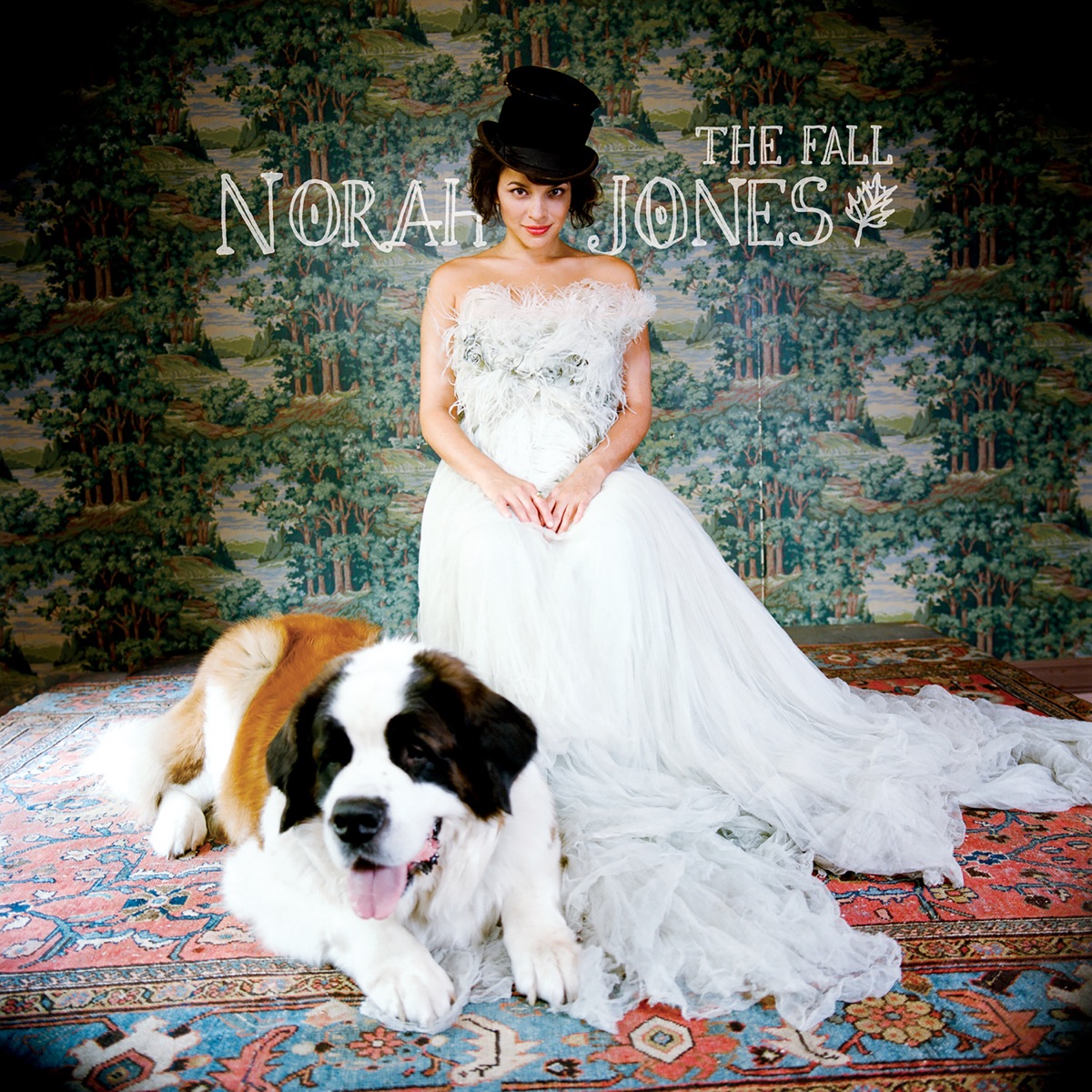 Обложка Norah Jones — The Fall