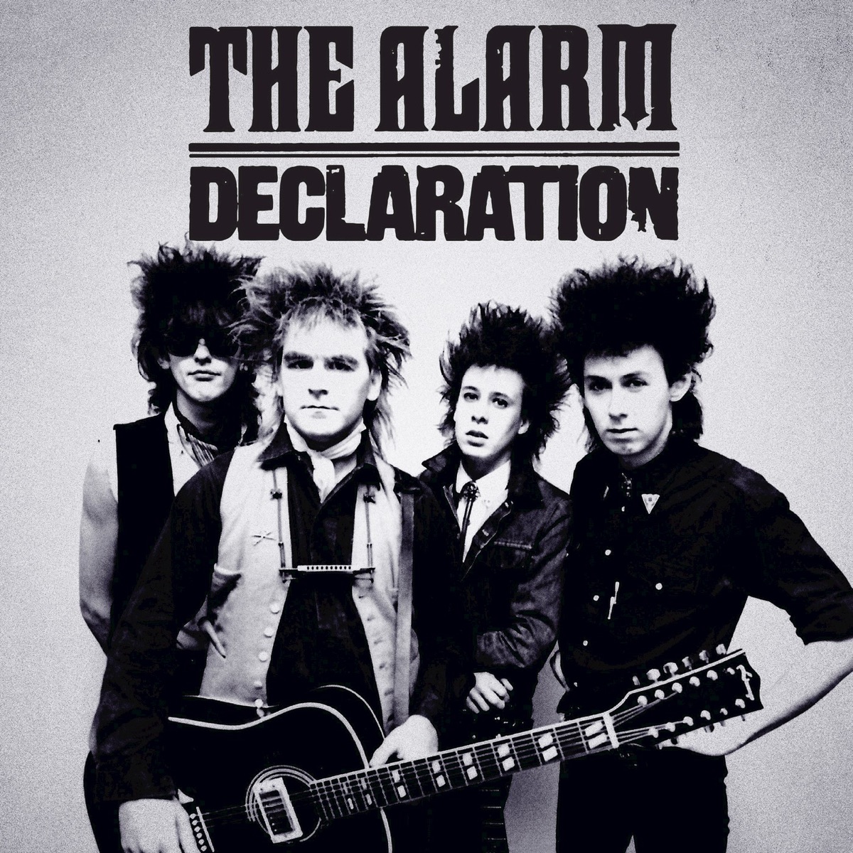 Обложка Alarm — Declaration