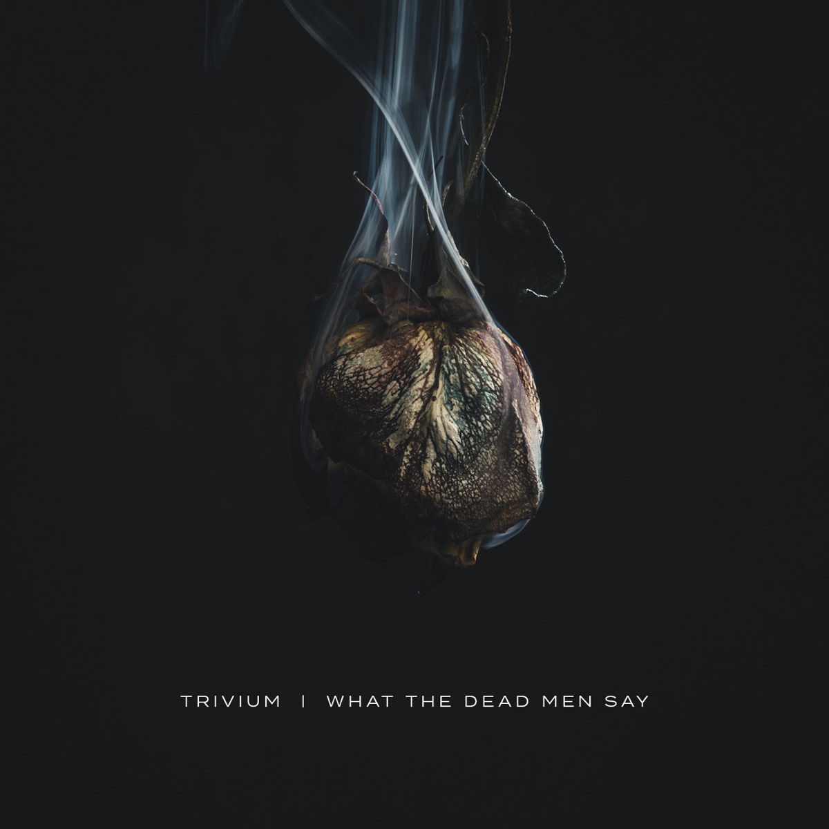 Обложка Trivium — What The Dead Men Say