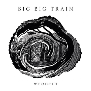 Обложка Big Big Train — Woodcut