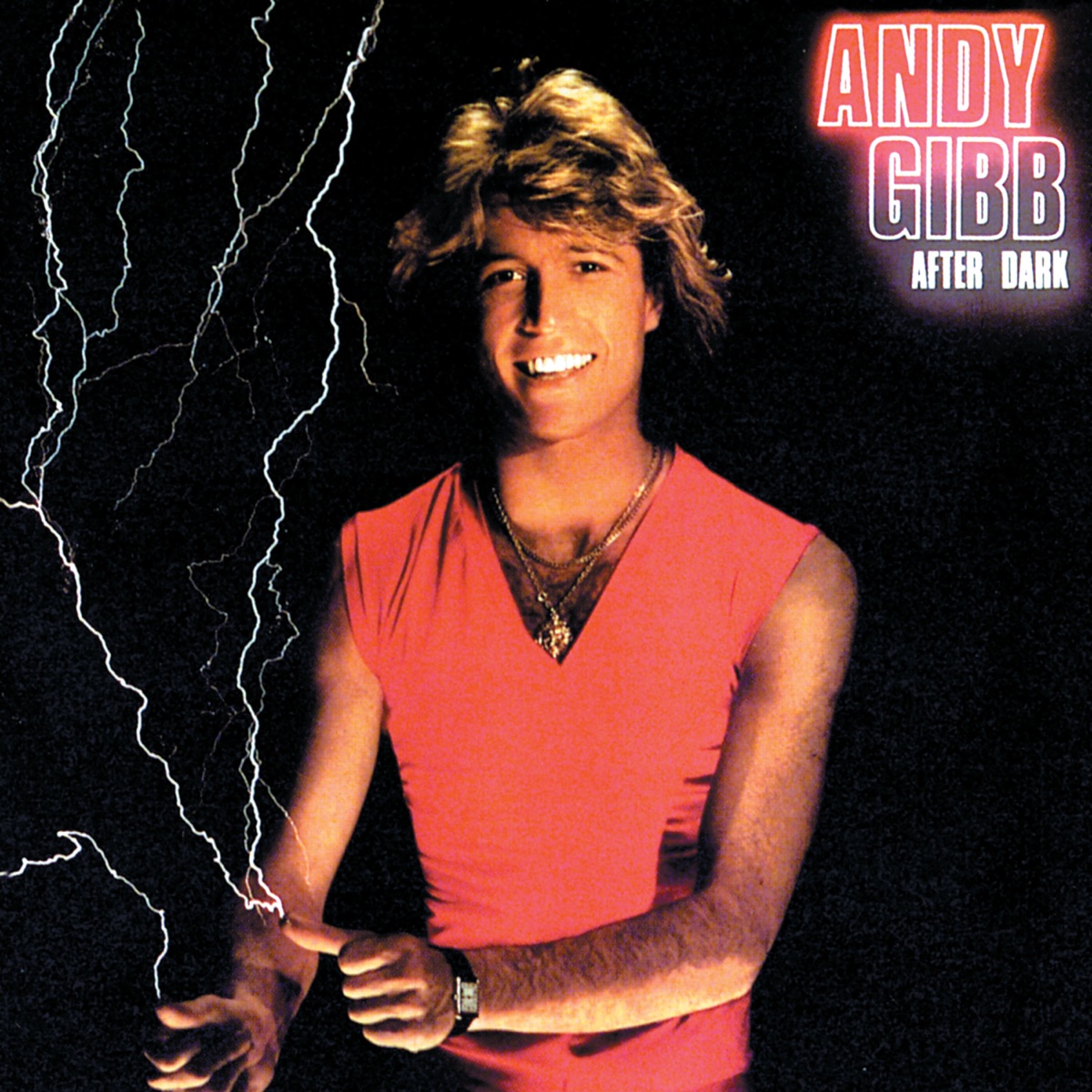Обложка Andy Gibb — After Dark