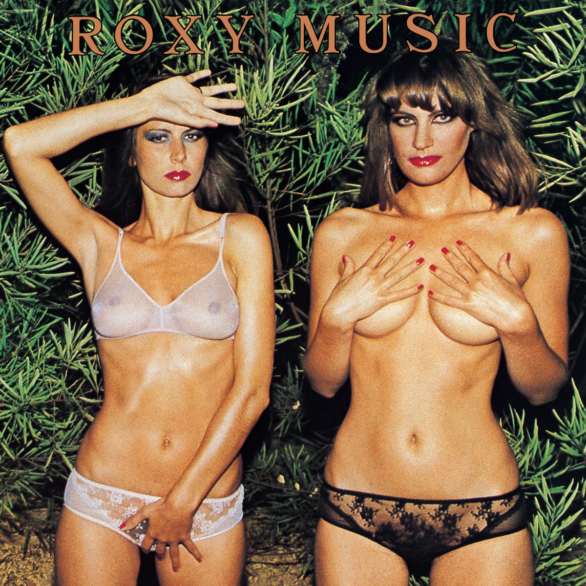 Обложка Roxy Music — Country Life