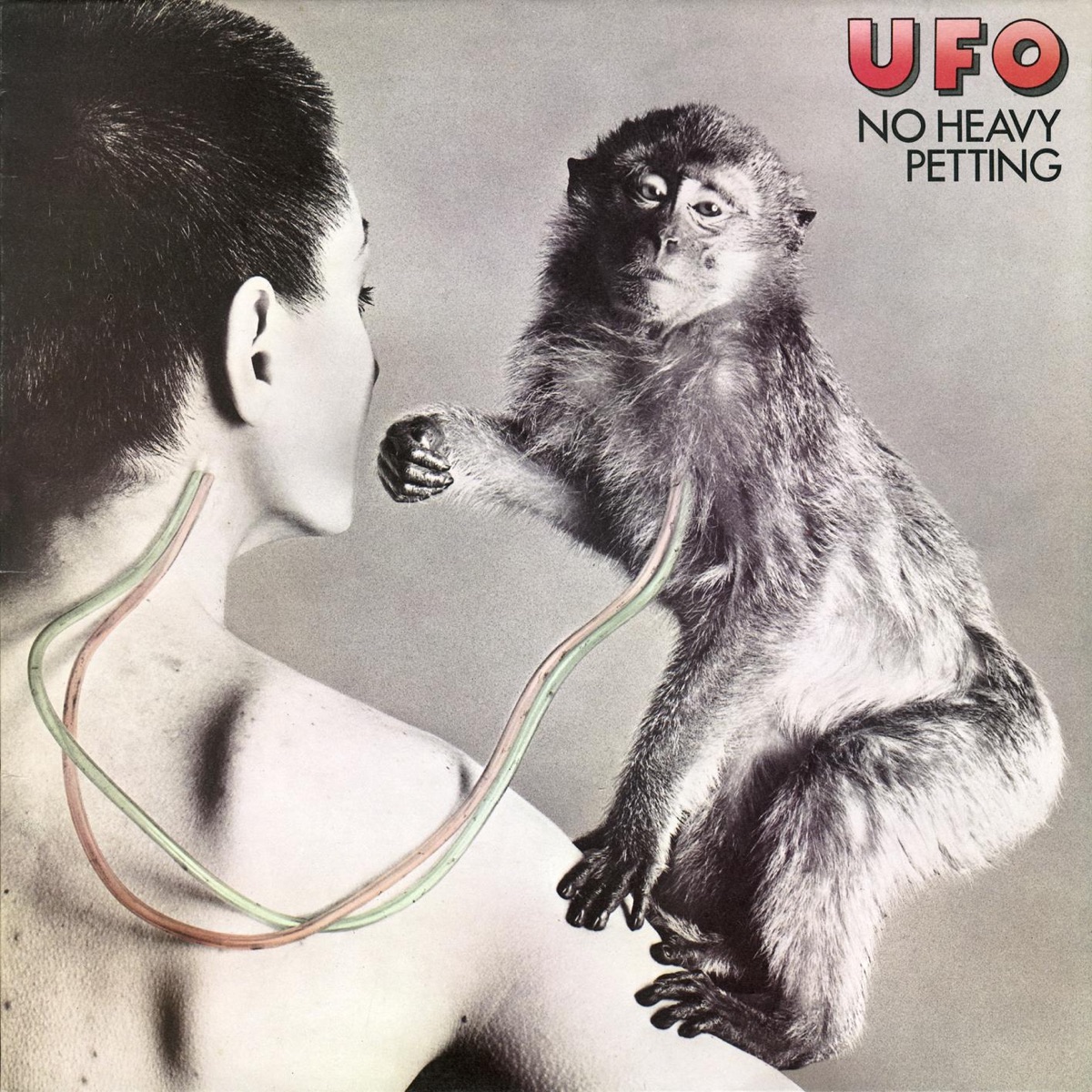 Обложка UFO — No Heavy Petting