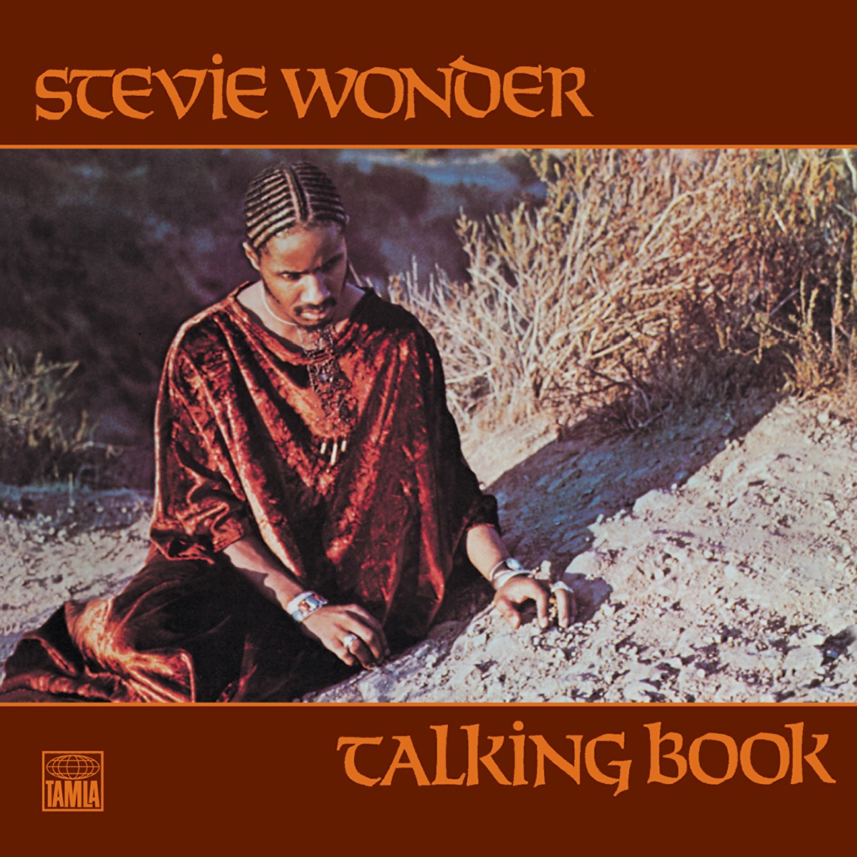 Обложка Stevie Wonder — Talking Book