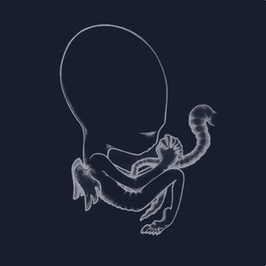 Обложка Sigur Rós — Agaetis Byrjun