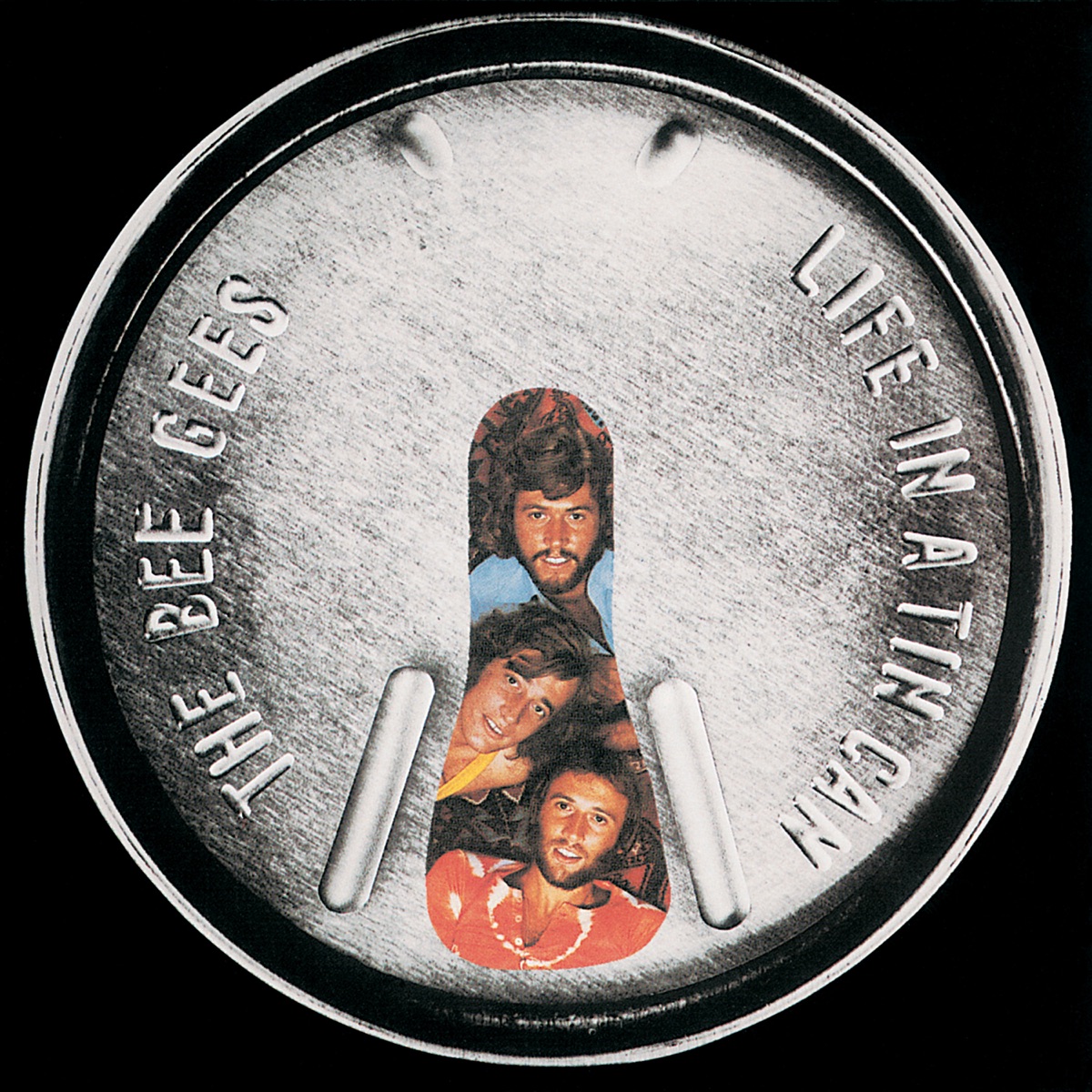 Обложка Bee Gees — Life In A Tin Can
