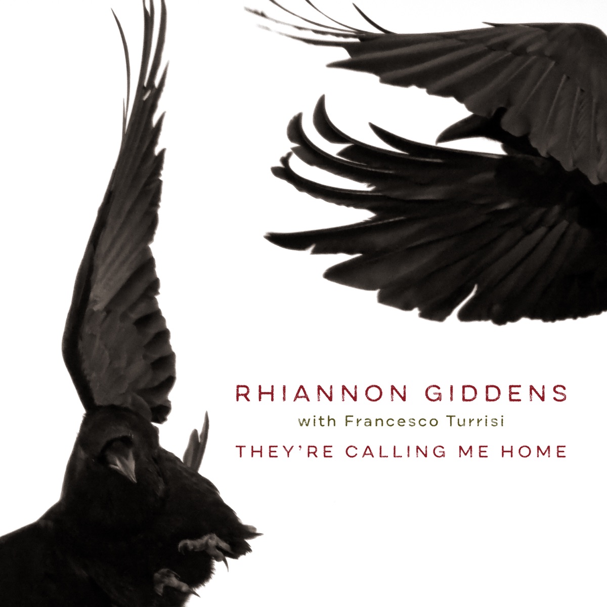 Обложка Rhiannon Giddens — They're Calling Me Home