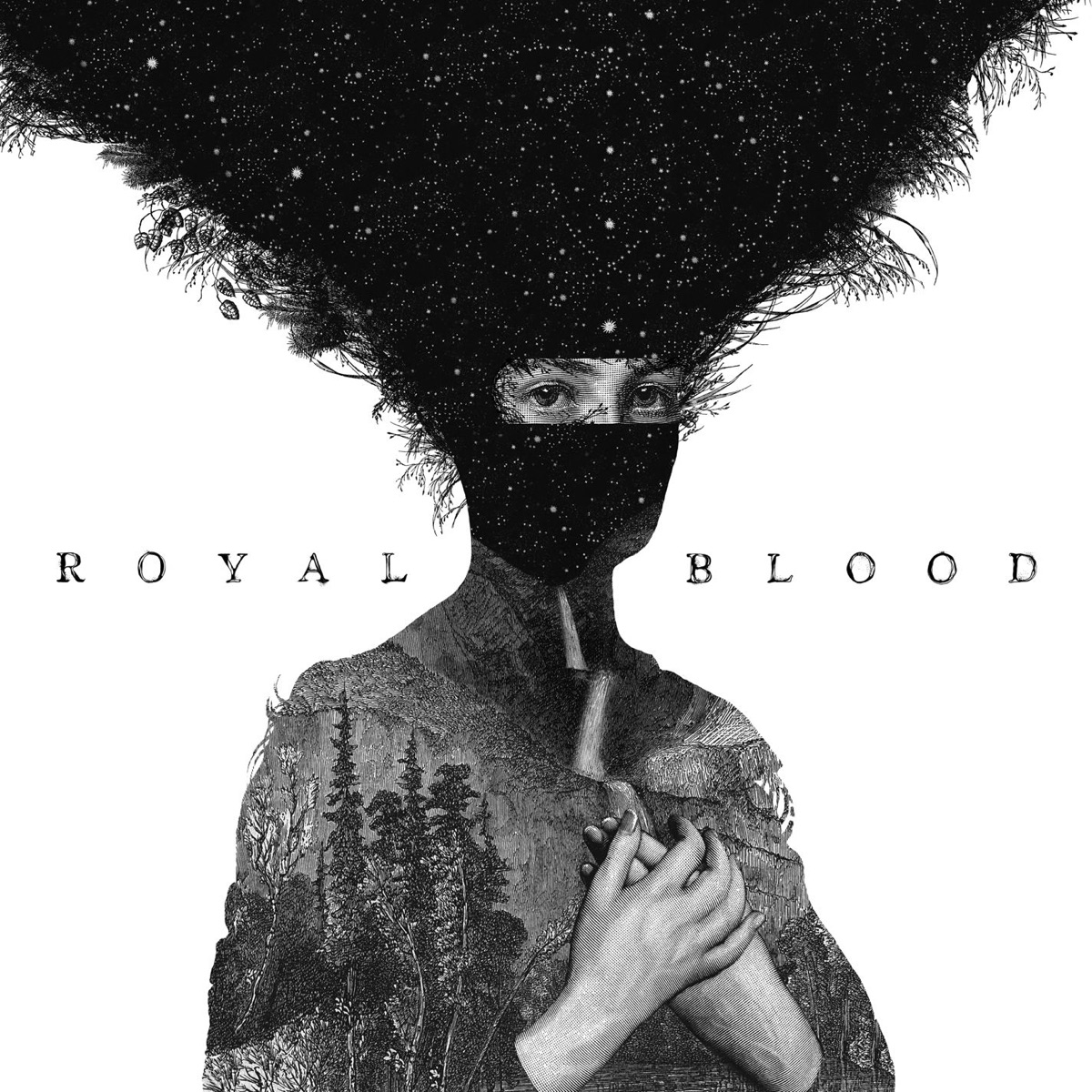 Обложка Royal Blood — Royal Blood