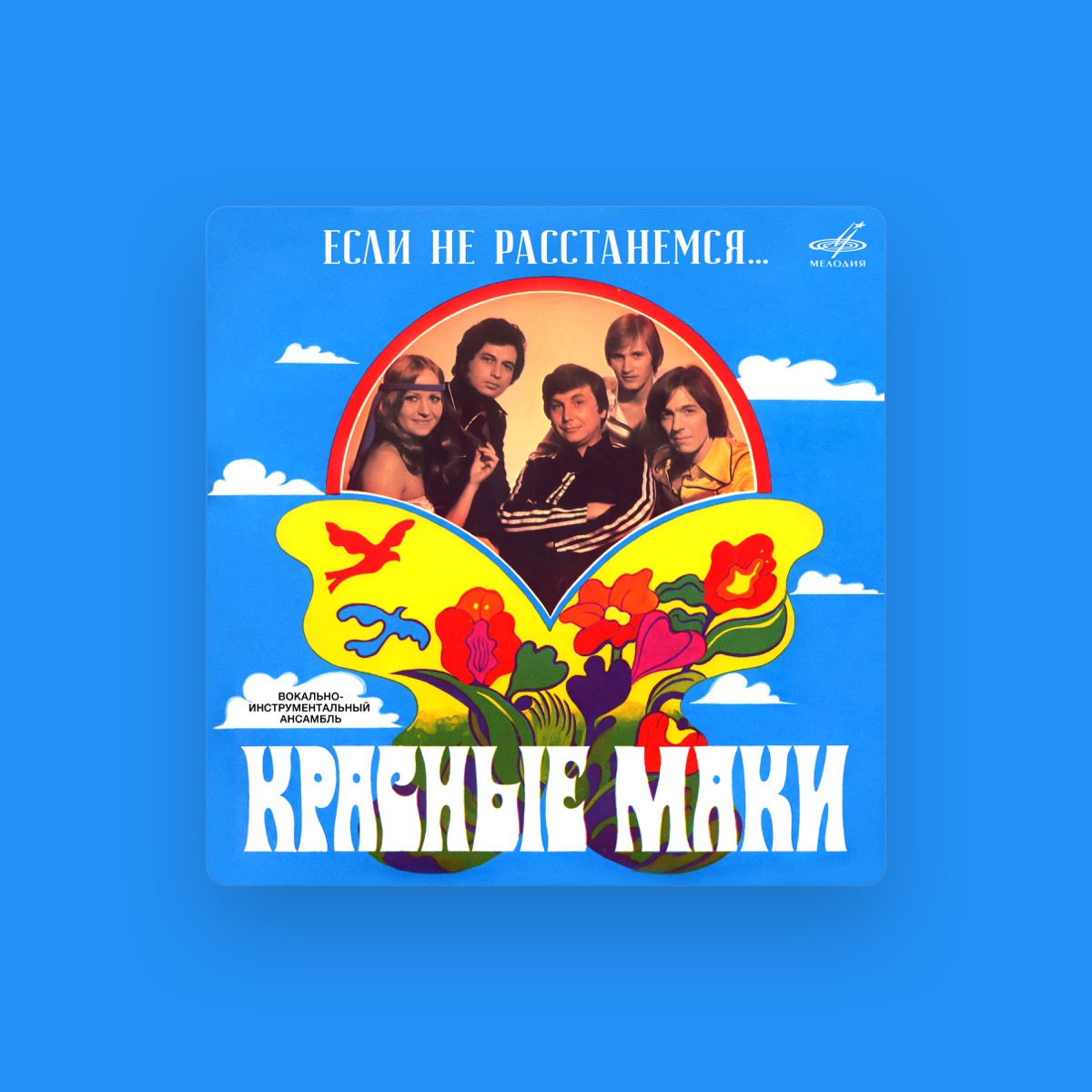 Красные маки