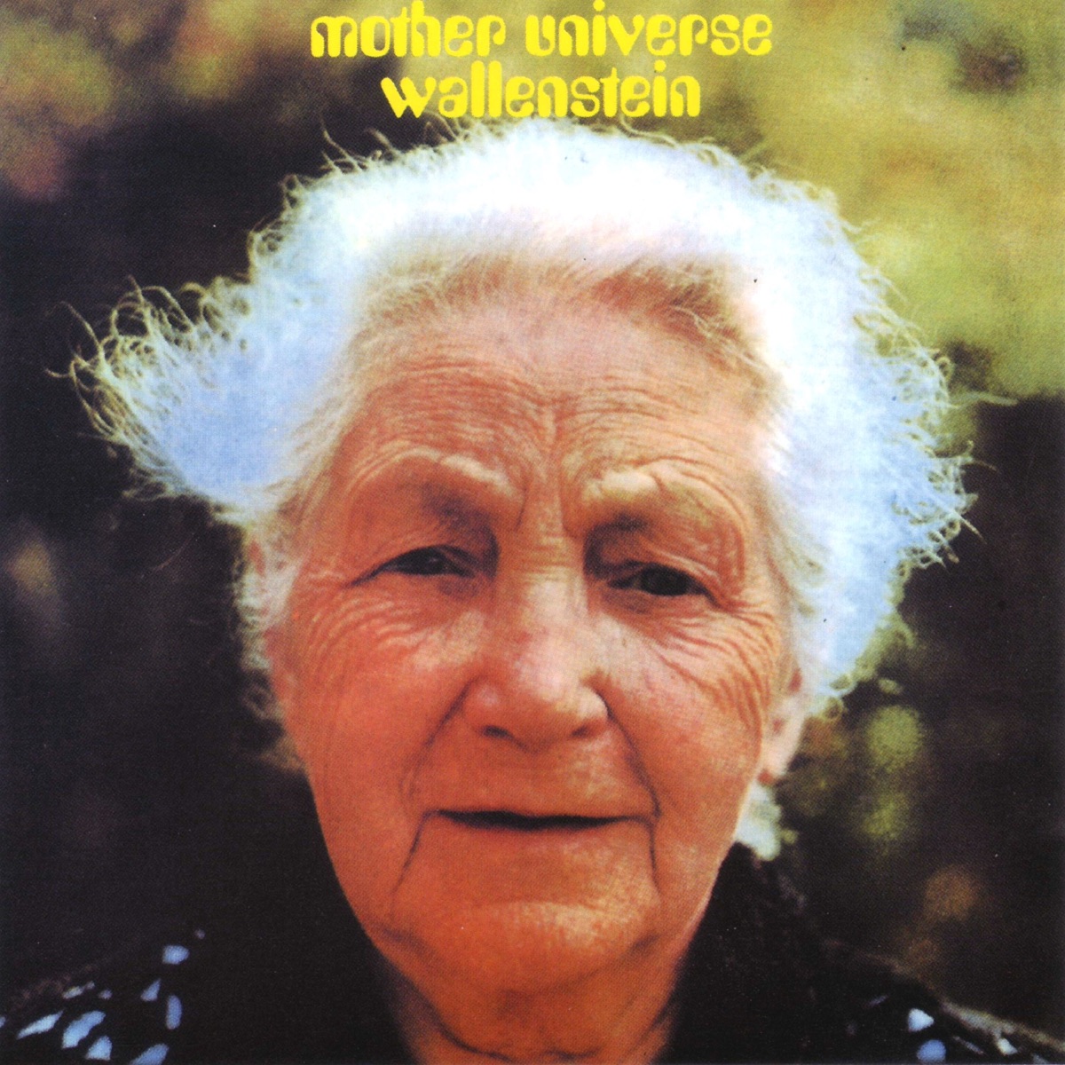 Обложка Wallenstein — Mother Universe