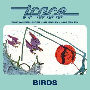 Обложка Trace — Birds