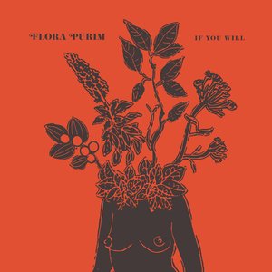 Обложка Flora Purim — If You Will