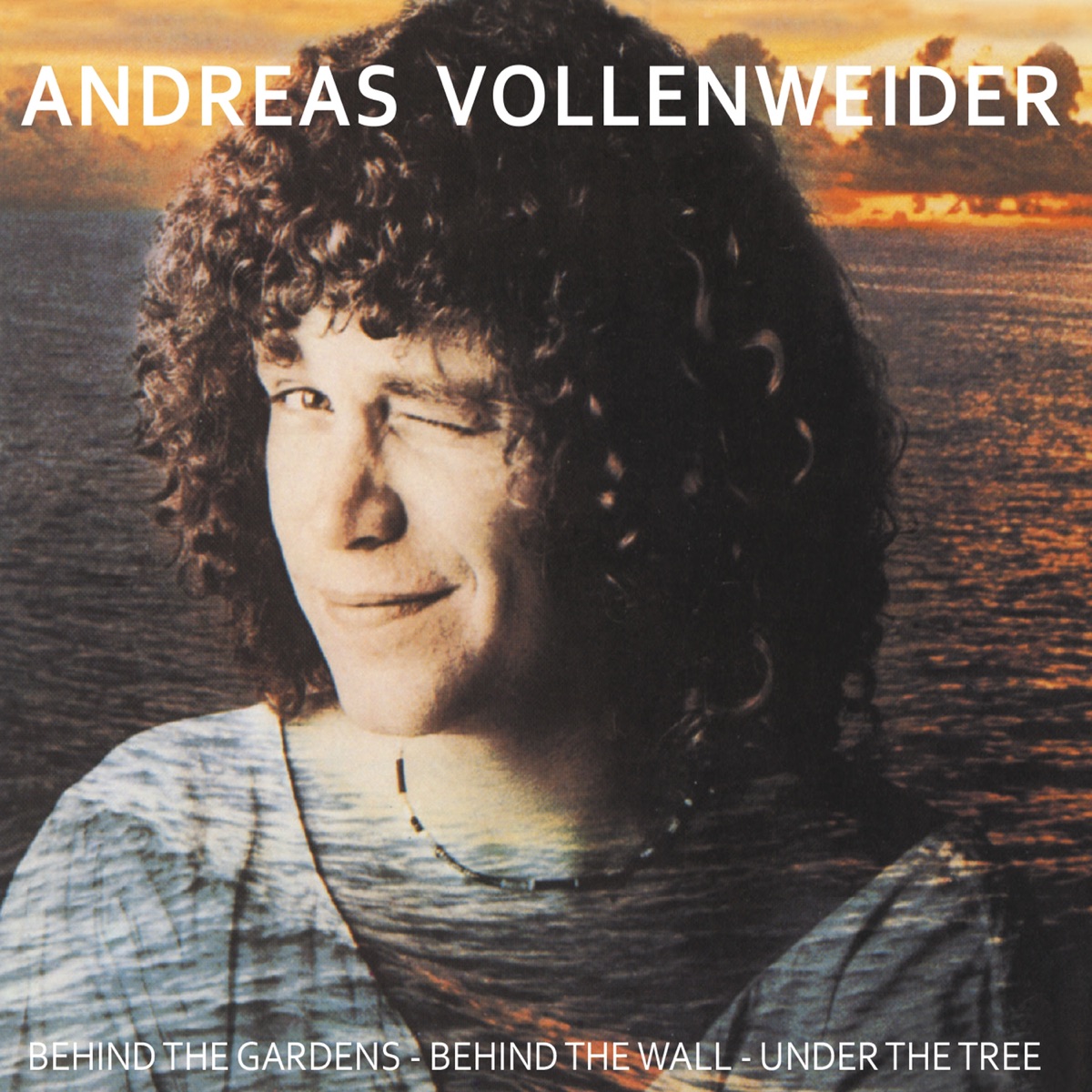 Обложка Andreas Vollenweider — Behind The Gardens - Behind The Wall - Under The Tree
